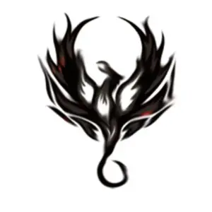 The Phoenix Coaching